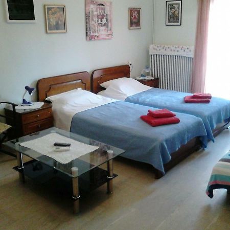 קאלאבאקה Vasiliki'S Apartment מראה חיצוני תמונה